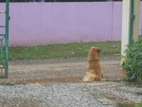 DSCN2165.JPG
