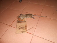 DSCN2037.JPG