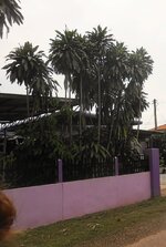DSCN1976~3.JPG