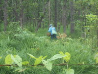 DSCN1981.JPG