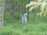 DSCN1985.JPG