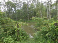 DSCN1984.JPG