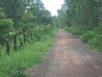 DSCN1982.JPG