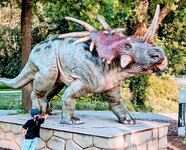 PXL_20250817_170903268~4.jpg