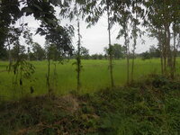DSCN1987.JPG