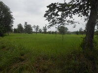 DSCN1986.JPG