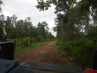 DSCN1988.JPG