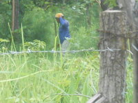 DSCN1993.JPG