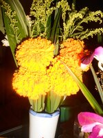 DSCN2174~3.JPG