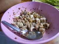 DSCN1676.JPG