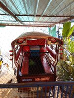 IMG_20240425_164054_215.jpg