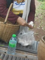 DSCN2003~2.JPG