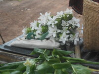 DSCN2005.JPG