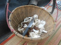 DSCN2006.JPG