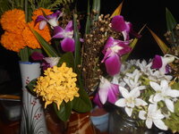 DSCN2171.JPG