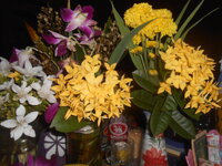 DSCN2170.JPG