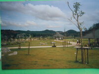 DSCN0104.JPG