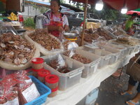 DSCN2263.JPG