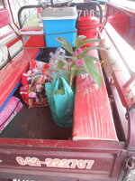 DSCN2283.JPG