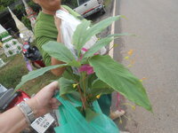 DSCN2282.JPG
