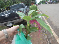 DSCN2280.JPG