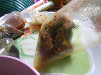 DSCN1571.JPG