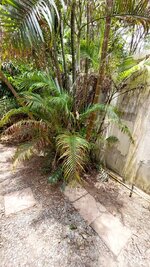 20250821_124634.jpg