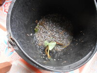 DSCN2191.JPG