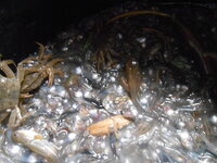 DSCN2199.JPG