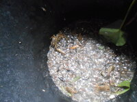 DSCN2198.JPG
