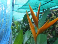 DSCN2139.JPG