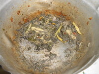 DSCN2211.JPG