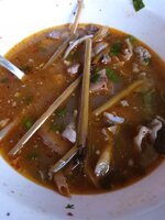 IMG_20240911_130226_149.jpg