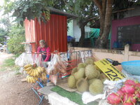 DSCN1773.JPG