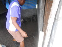 DSCN1782.JPG
