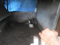DSCN1781.JPG