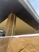 IMG_8134.jpeg