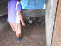 DSCN1789.JPG