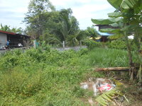 DSCN1787.JPG