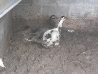 DSCN1795.JPG