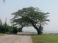 133.jpg