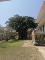 148.jpg