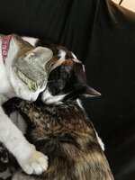 IMG_20250823_012241.jpg