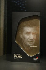 Duitsland-Dortmund ''Duits voetbalmuseum-Hall of Fame Fritz Walter''.JPG