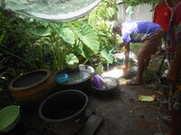 DSCN1814.JPG