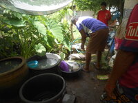 DSCN1813.JPG