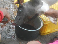 DSCN1819.JPG