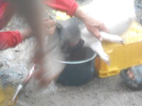DSCN1818.JPG