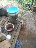 DSCN1824~2.JPG
