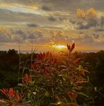 IMG_7495.jpeg